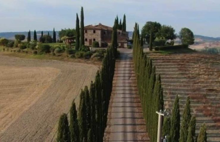 Screen shot from a video clip about the Pareto Principle showing an Italian road lined with cyprus trees