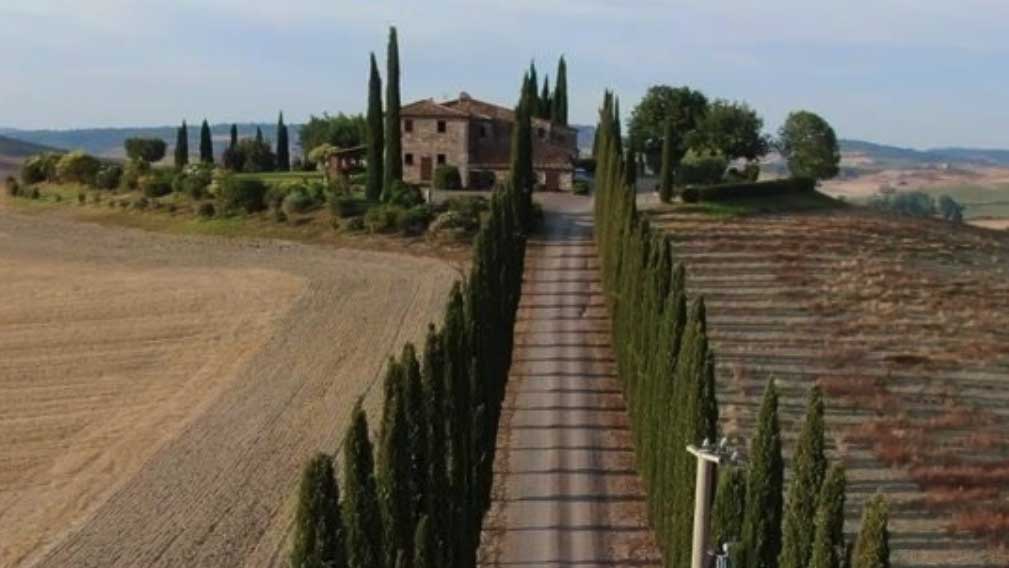 Screen shot from a video clip about the Pareto Principle showing an Italian road lined with cyprus trees