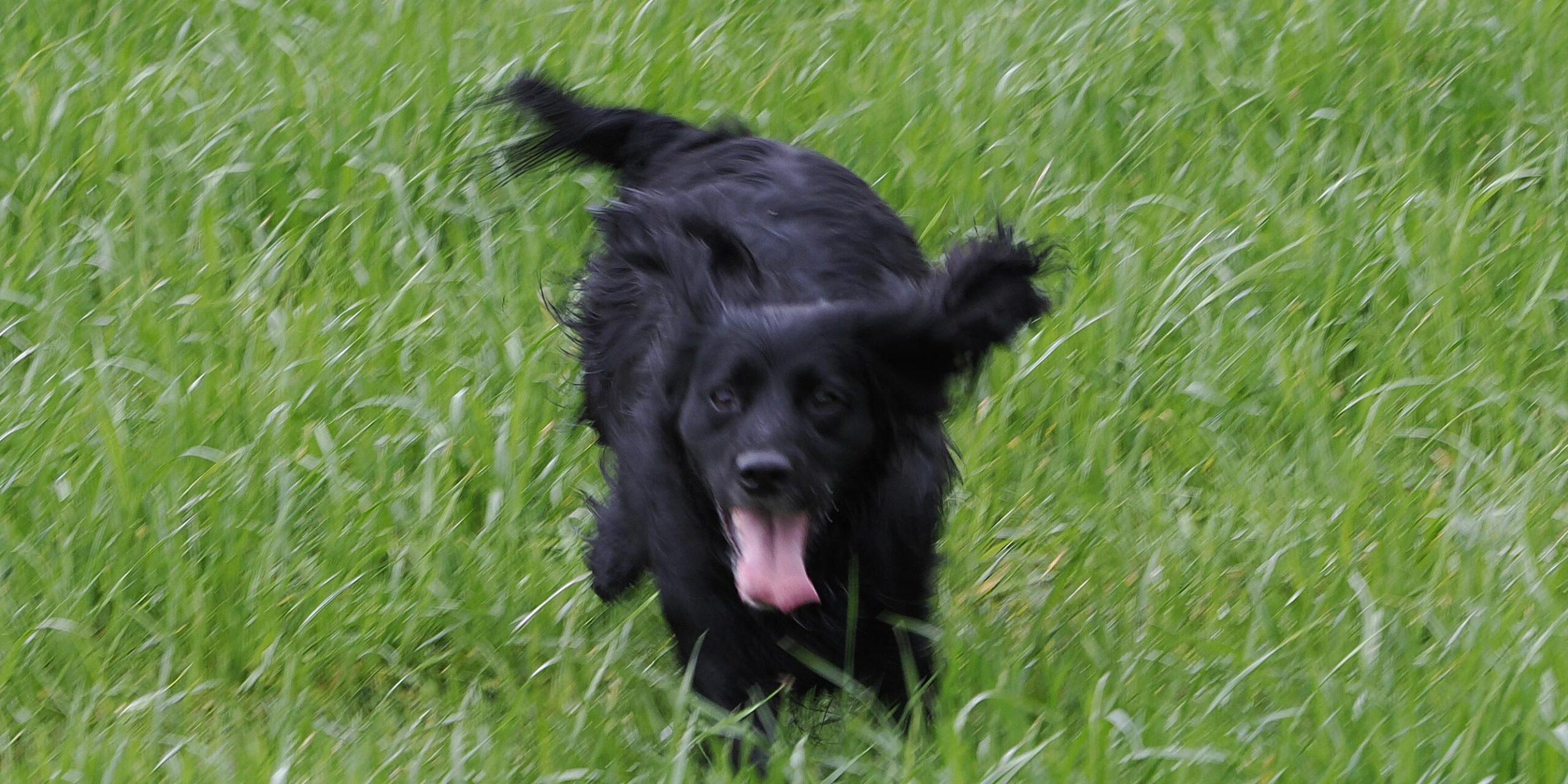 Jet running to illustrate the concept of agile marketing
